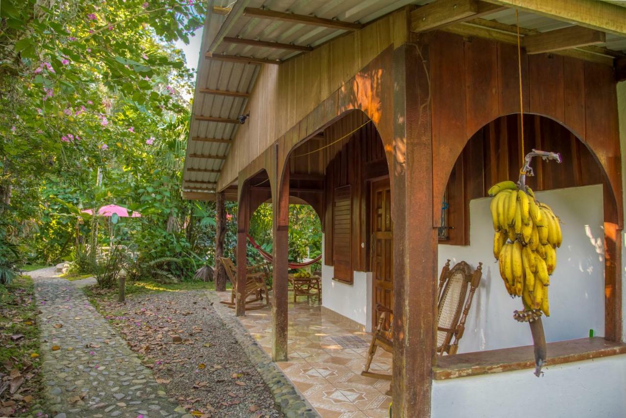 Cabinas Iguana Cahuita Ngoại thất bức ảnh