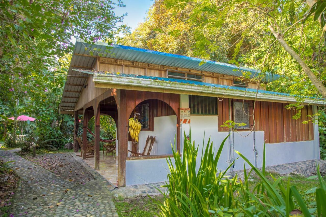Cabinas Iguana Cahuita Ngoại thất bức ảnh