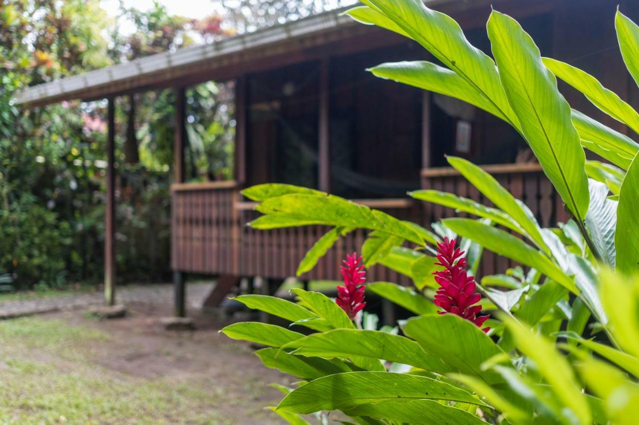 Cabinas Iguana Cahuita Ngoại thất bức ảnh
