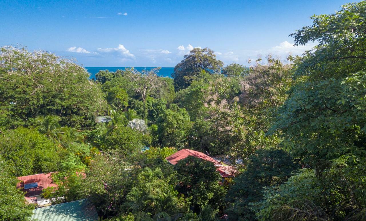 Cabinas Iguana Cahuita Ngoại thất bức ảnh