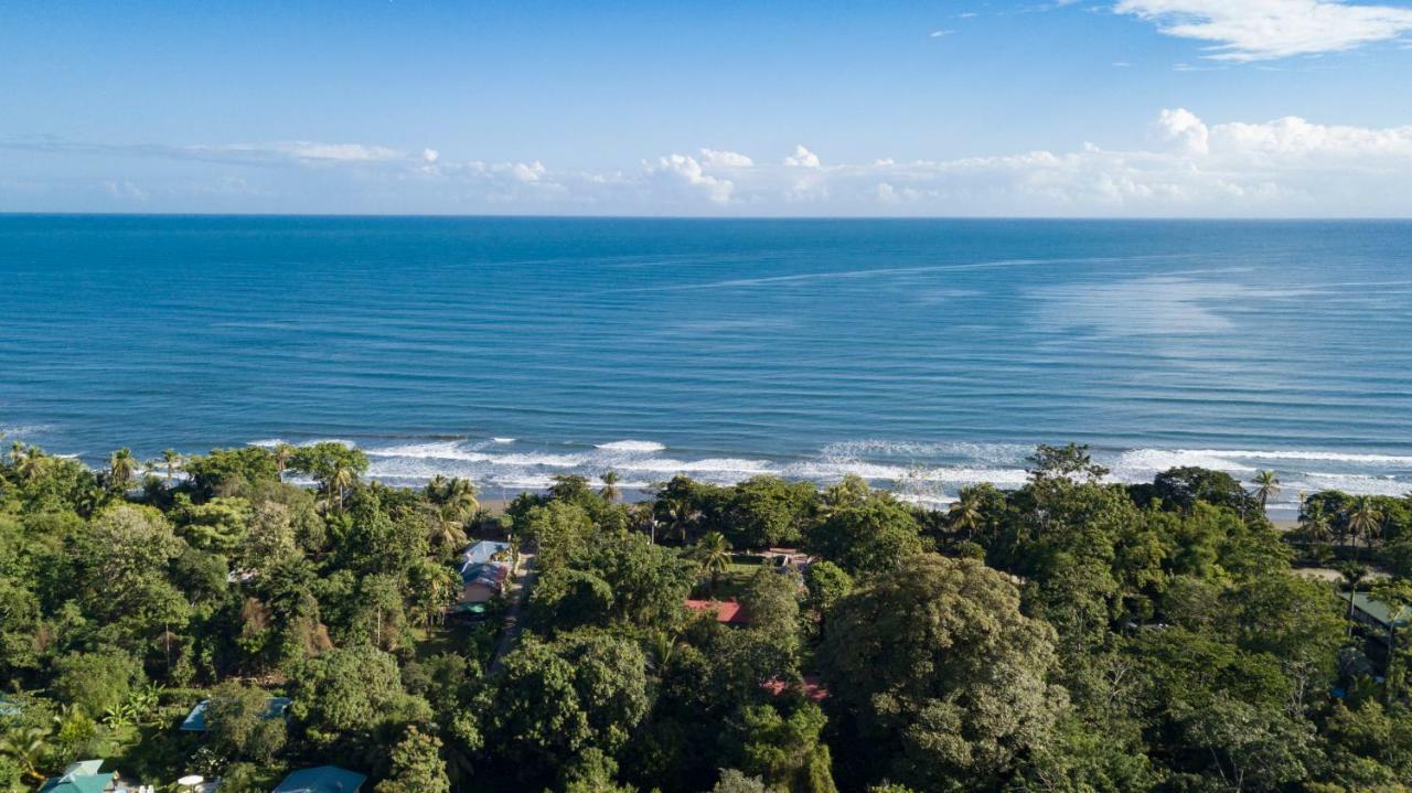 Cabinas Iguana Cahuita Ngoại thất bức ảnh