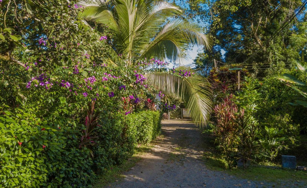 Cabinas Iguana Cahuita Ngoại thất bức ảnh