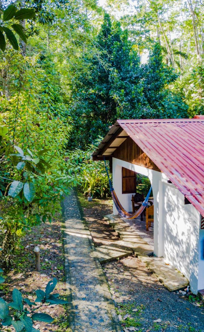 Cabinas Iguana Cahuita Ngoại thất bức ảnh